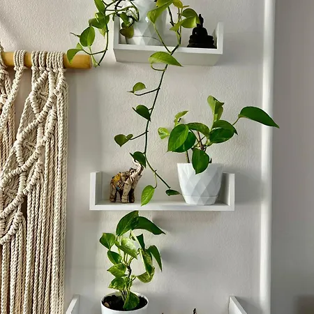 Appartement Center Tourist Tirana