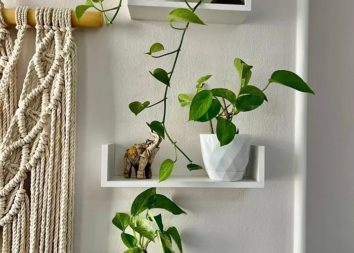 Apartament Center Tourist Tirana